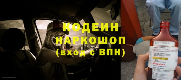 хмурый Верея