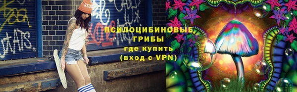 ПСИЛОЦИБИНОВЫЕ ГРИБЫ Богородск