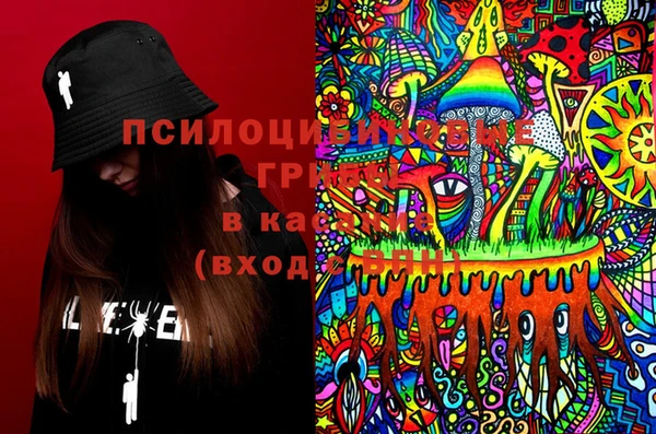 ПСИЛОЦИБИНОВЫЕ ГРИБЫ Богородск