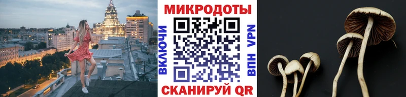 Галлюциногенные грибы мухоморы  что такое   Мезень 